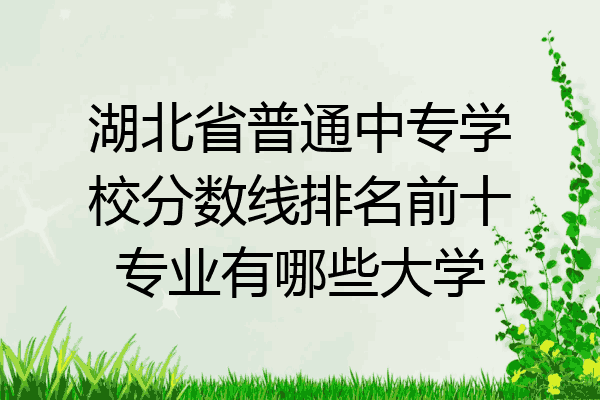 湖北省普通中专学校分数线排名前十专业有哪些大学