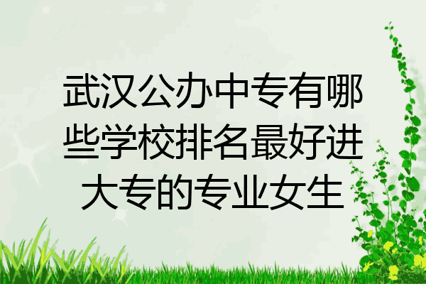 武汉公办中专有哪些学校排名最好进大专的专业女生