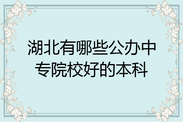 湖北有哪些公办中专院校好的本科