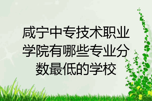 咸宁中专技术职业学院有哪些专业分数最低的学校