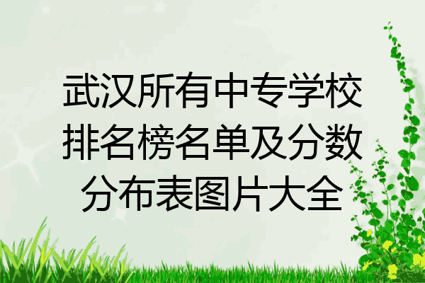 武汉所有中专学校排名榜名单及分数分布表图片大全