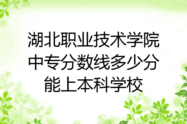 湖北职业技术学院中专分数线多少分能上本科学校