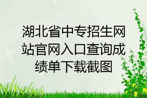 湖北省中专招生网站官网入口查询成绩单下载截图