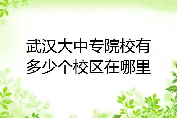 武汉大中专院校有多少个校区在哪里