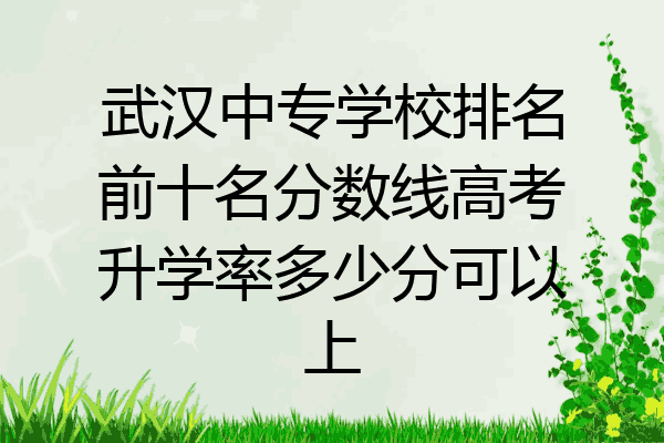 武汉中专学校排名前十名分数线高考升学率多少分可以上