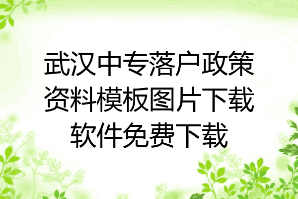 武汉中专落户政策资料模板图片下载软件免费下载