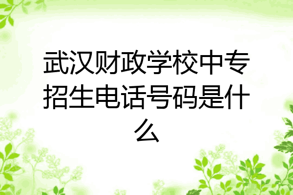 武汉财政学校中专招生电话号码是什么