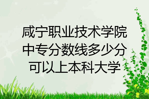 咸宁职业技术学院中专分数线多少分可以上本科大学