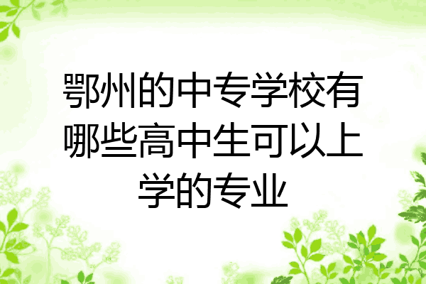 鄂州的中专学校有哪些高中生可以上学的专业