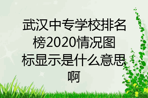 武汉中专学校排名榜2020情况图标显示是什么意思啊