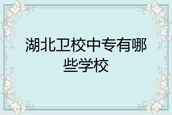 湖北卫校中专有哪些学校