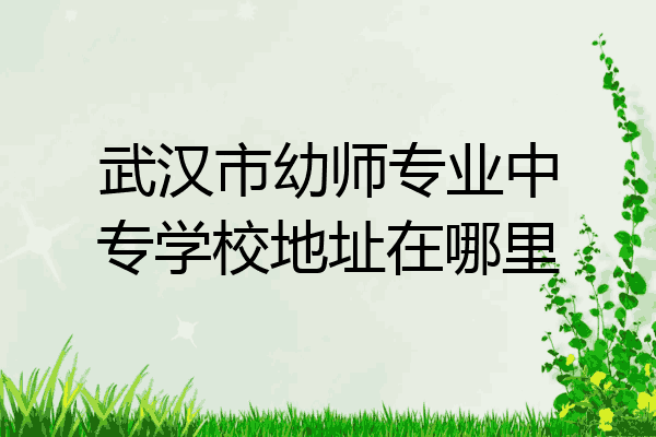 武汉市幼师专业中专学校地址在哪里