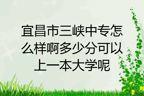 宜昌市三峡中专怎么样啊多少分可以上一本大学呢