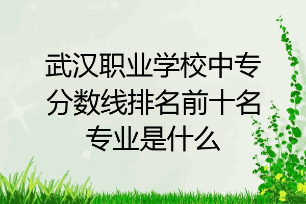 武汉职业学校中专分数线排名前十名专业是什么