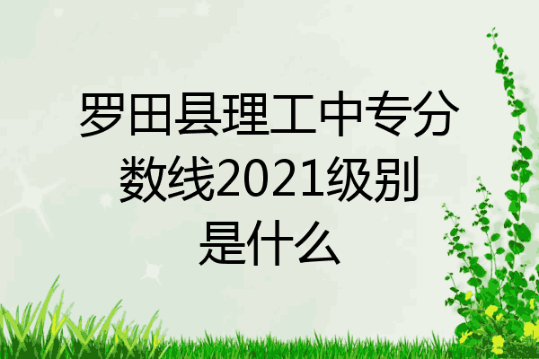 罗田县理工中专分数线2021级别是什么