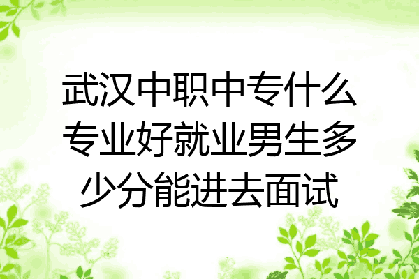武汉中职中专什么专业好就业男生多少分能进去面试