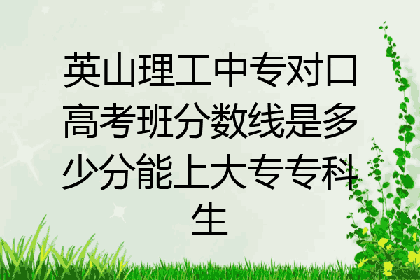 英山理工中专对口高考班分数线是多少分能上大专专科生