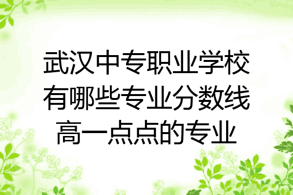 武汉中专职业学校有哪些专业分数线高一点点的专业