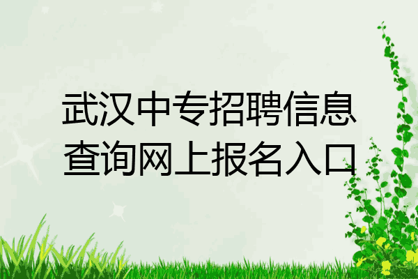 武汉中专招聘信息查询网上报名入口