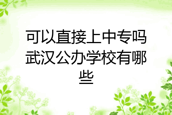 可以直接上中专吗武汉公办学校有哪些
