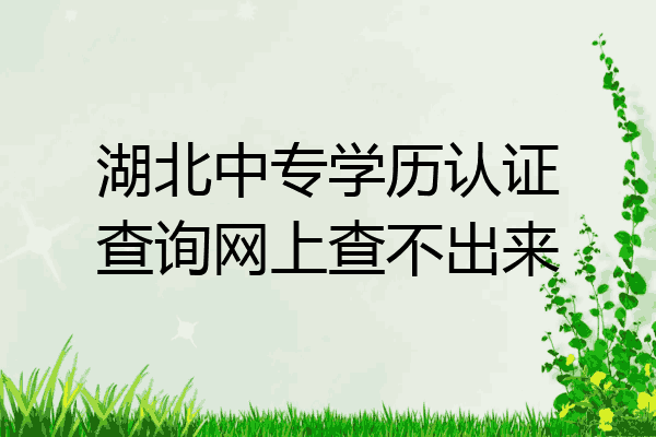 湖北中专学历认证查询网上查不出来