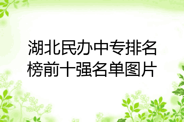 湖北民办中专排名榜前十强名单图片