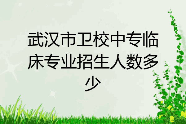 武汉市卫校中专临床专业招生人数多少