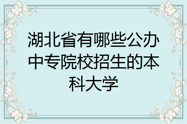 湖北省有哪些公办中专院校招生的本科大学