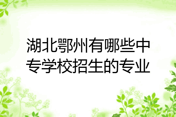 湖北鄂州有哪些中专学校招生的专业