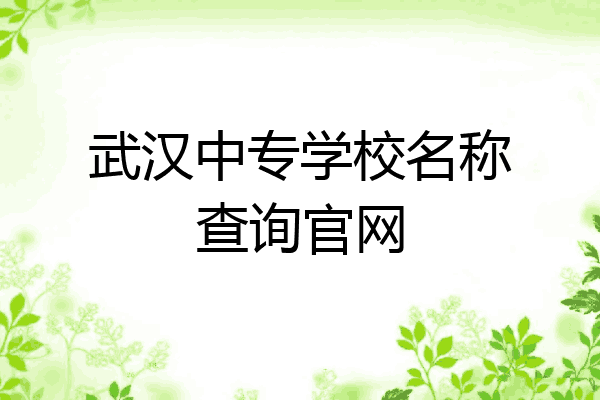武汉中专学校名称查询官网