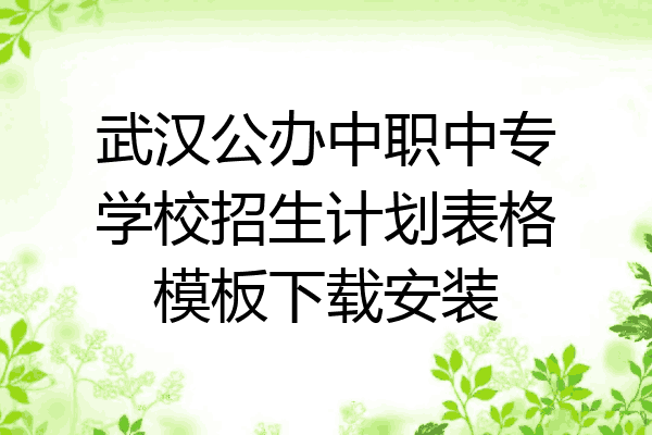 武汉公办中职中专学校招生计划表格模板下载安装