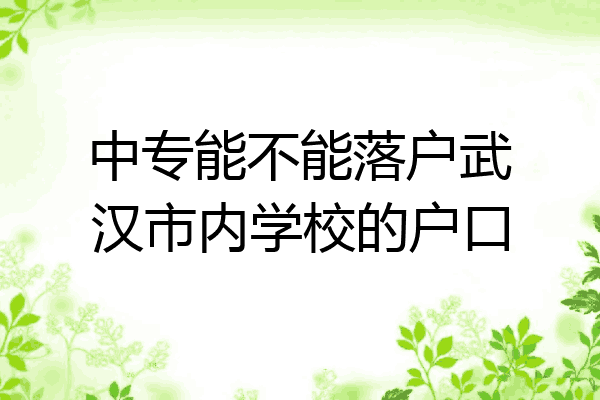 中专能不能落户武汉市内学校的户口
