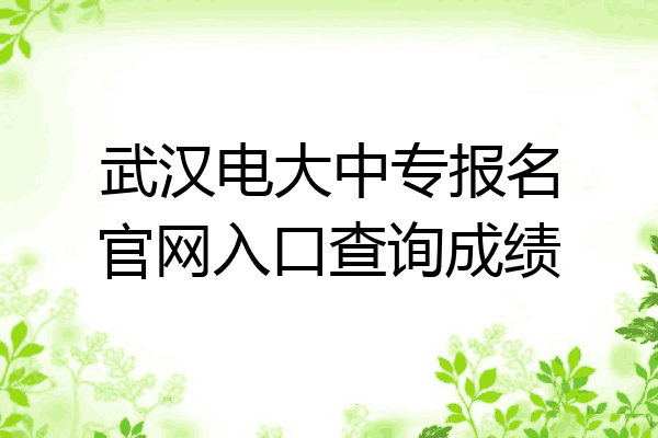 武汉电大中专报名官网入口查询成绩
