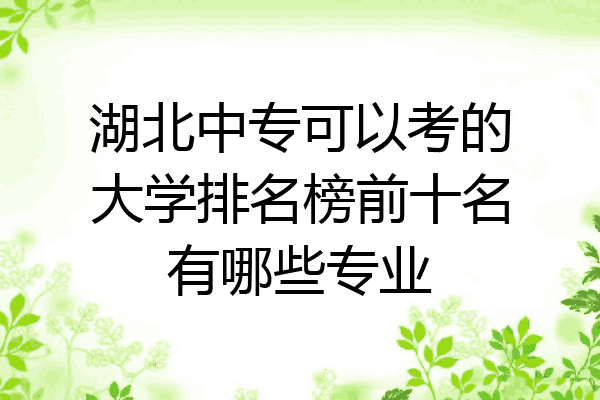 湖北中专可以考的大学排名榜前十名有哪些专业