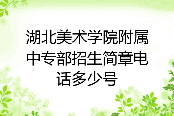 湖北美术学院附属中专部招生简章电话多少号