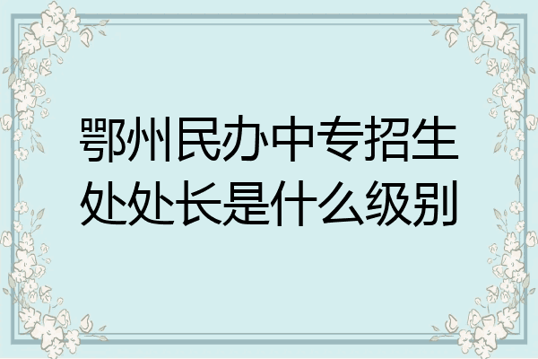 鄂州民办中专招生处处长是什么级别