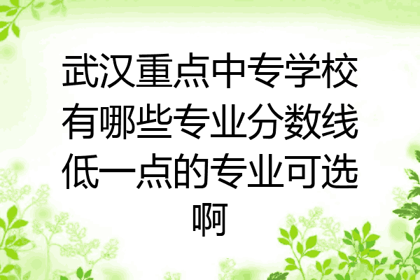 武汉重点中专学校有哪些专业分数线低一点的专业可选啊