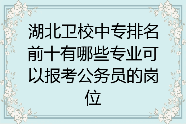 湖北卫校中专排名前十有哪些专业可以报考公务员的岗位