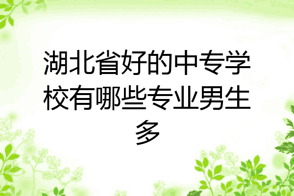 湖北省好的中专学校有哪些专业男生多