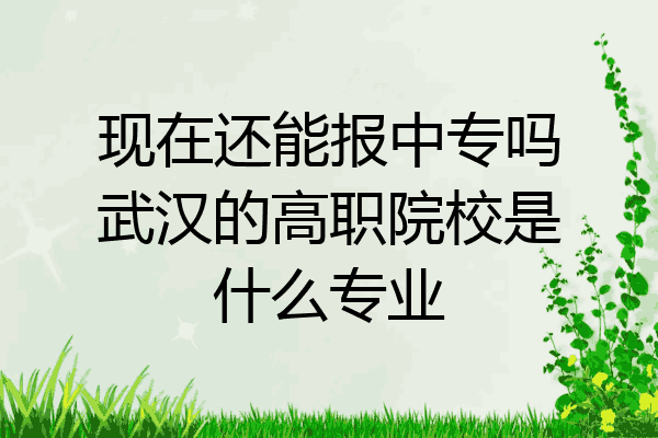 现在还能报中专吗武汉的高职院校是什么专业