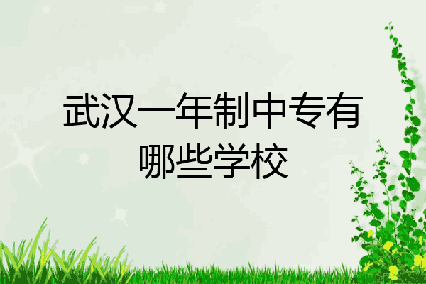 武汉一年制中专有哪些学校