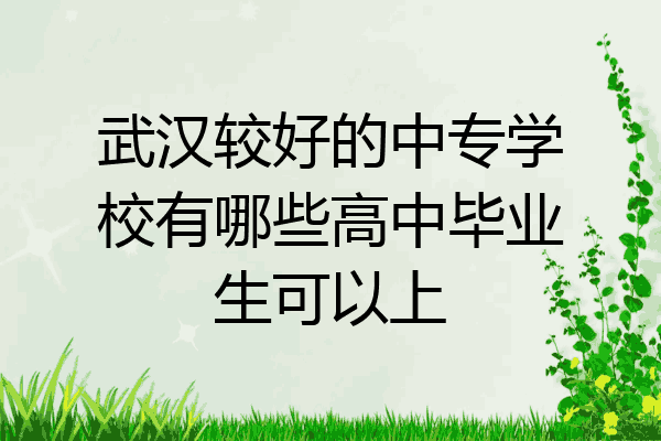 武汉较好的中专学校有哪些高中毕业生可以上