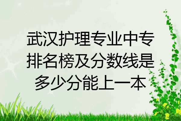 武汉护理专业中专排名榜及分数线是多少分能上一本