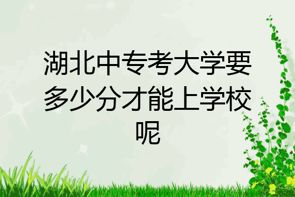 湖北中专考大学要多少分才能上学校呢