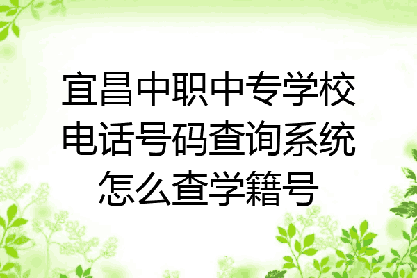 宜昌中职中专学校电话号码查询系统怎么查学籍号