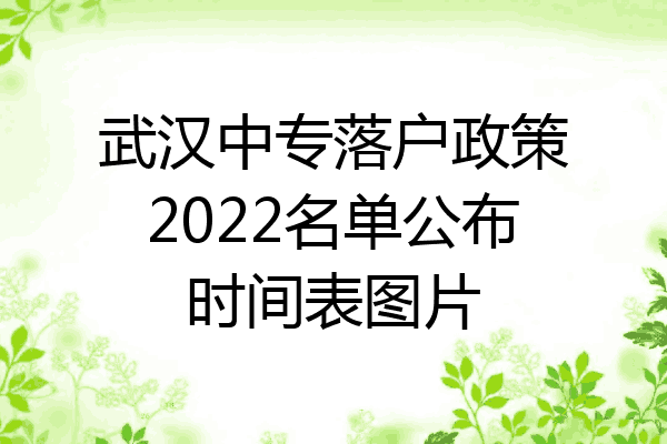 武汉中专落户政策2022名单公布时间表图片