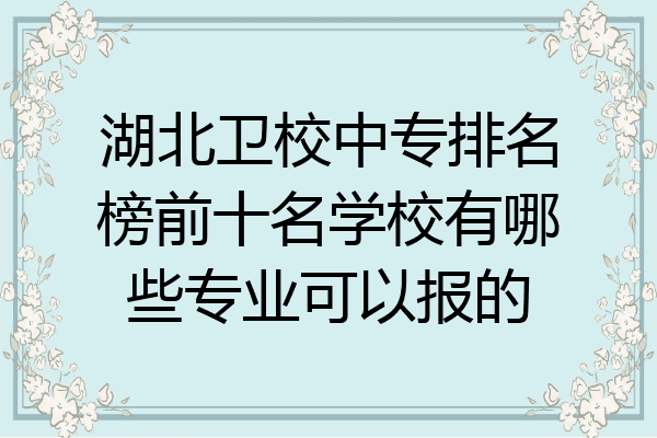 湖北卫校中专排名榜前十名学校有哪些专业可以报的