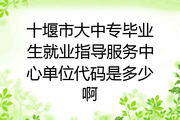 十堰市大中专毕业生就业指导服务中心单位代码是多少啊