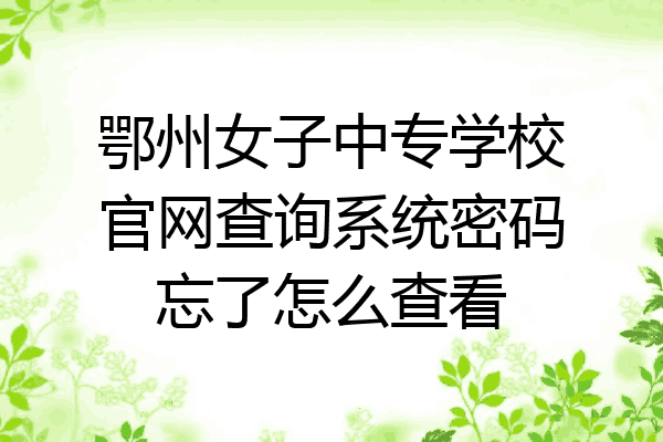 鄂州女子中专学校官网查询系统密码忘了怎么查看