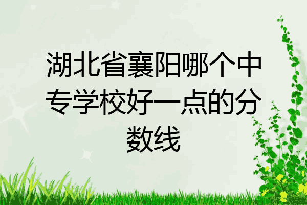 湖北省襄阳哪个中专学校好一点的分数线